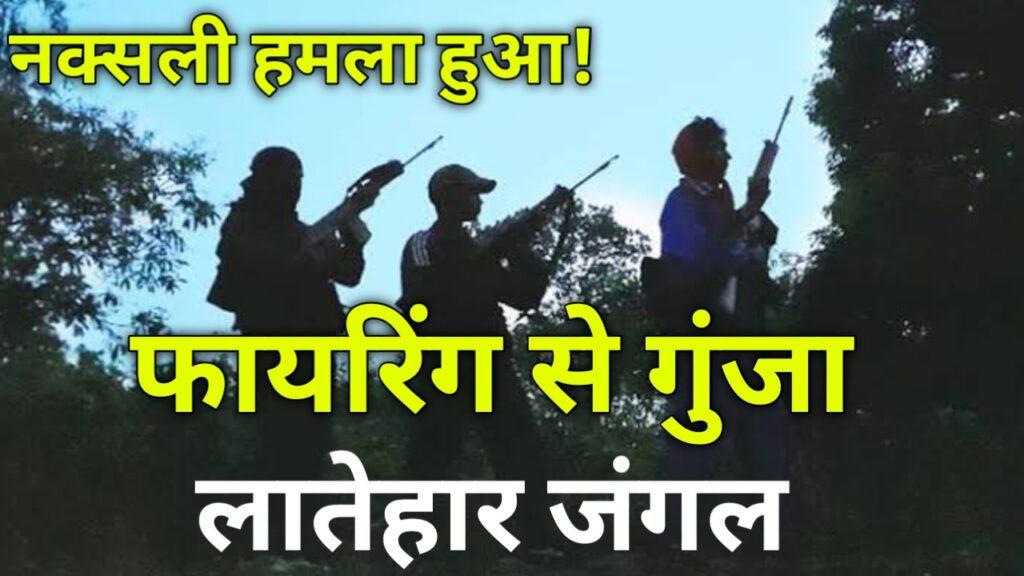 लातेहार के जंगल में ताबड़तोड़ फायरिंग से गुंजा इलाका! बड़ी खबर Latehar News