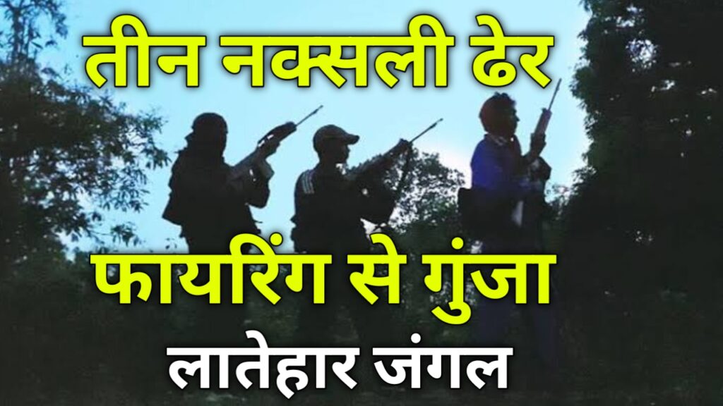 लातेहार में पुलिस और नक्सलियों के बीच मुठभेड़ में 3 नक्सली मारे गये