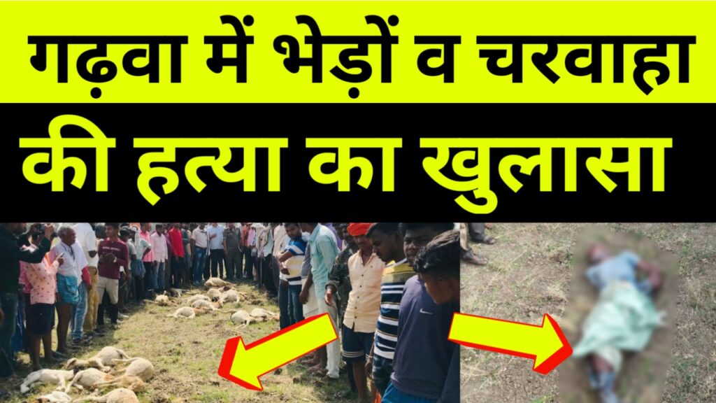 भेड़ों और चरवाहे का हत्यारा गिरफ्तार