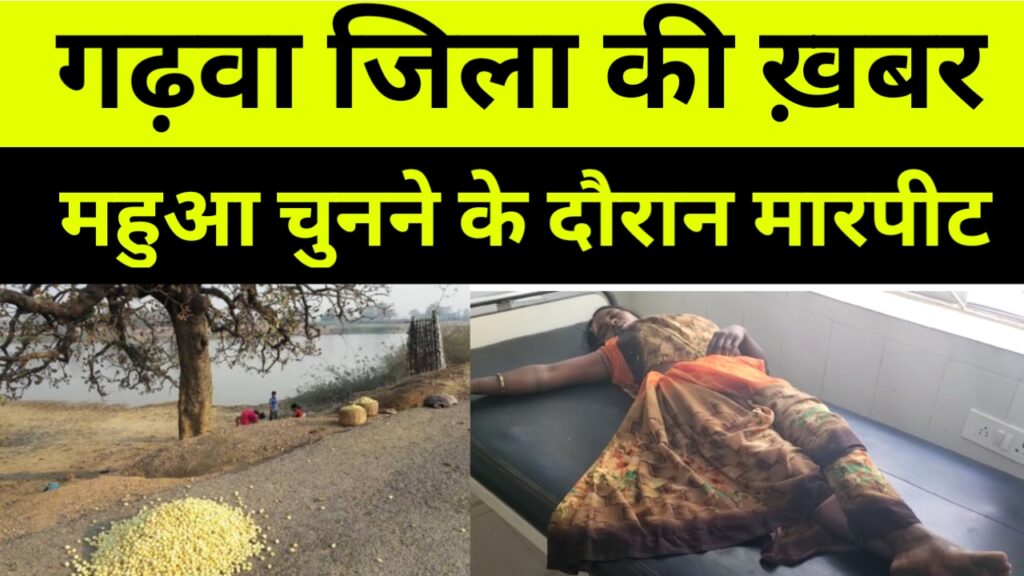 महुआ चुनने के दौरान दो गुटों में हुई मारपीट, महिला को घायल करने के आरोप में तीन युवकों को पुलिस ने भेजा जेल।