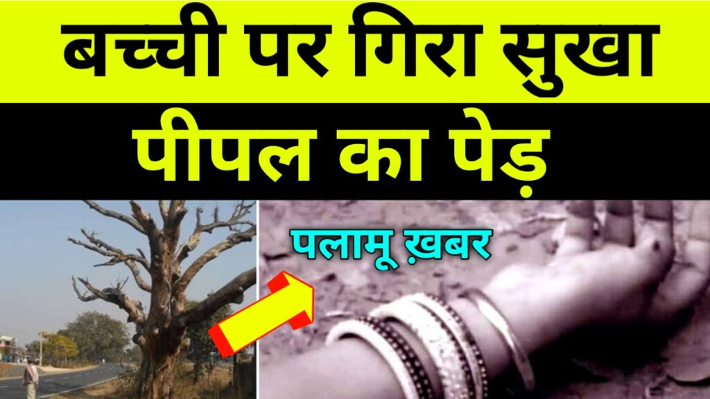 Palamu। सुखा पेड़ गिरने से बच्ची की मौत
