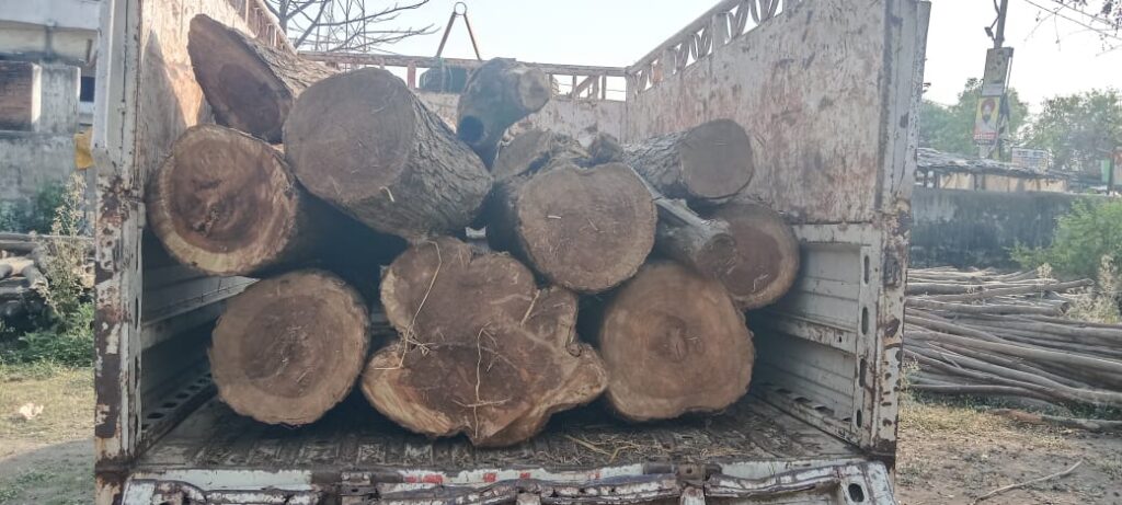 वन विभाग के कर्मियों ने पिकअप पर लदे शीशम के नौ बोटा लकड़ी को पिकअप सहित ज़ब्त किया