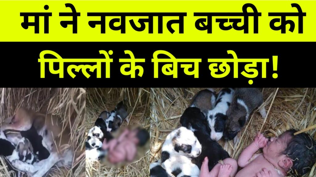 एक दिन की नवजात बच्ची को मां ने कुत्ते के बीच छोड़ा,