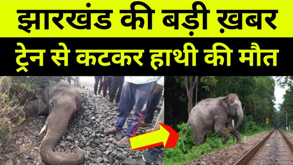मालगाड़ी से कटकर हाथी की मौत,