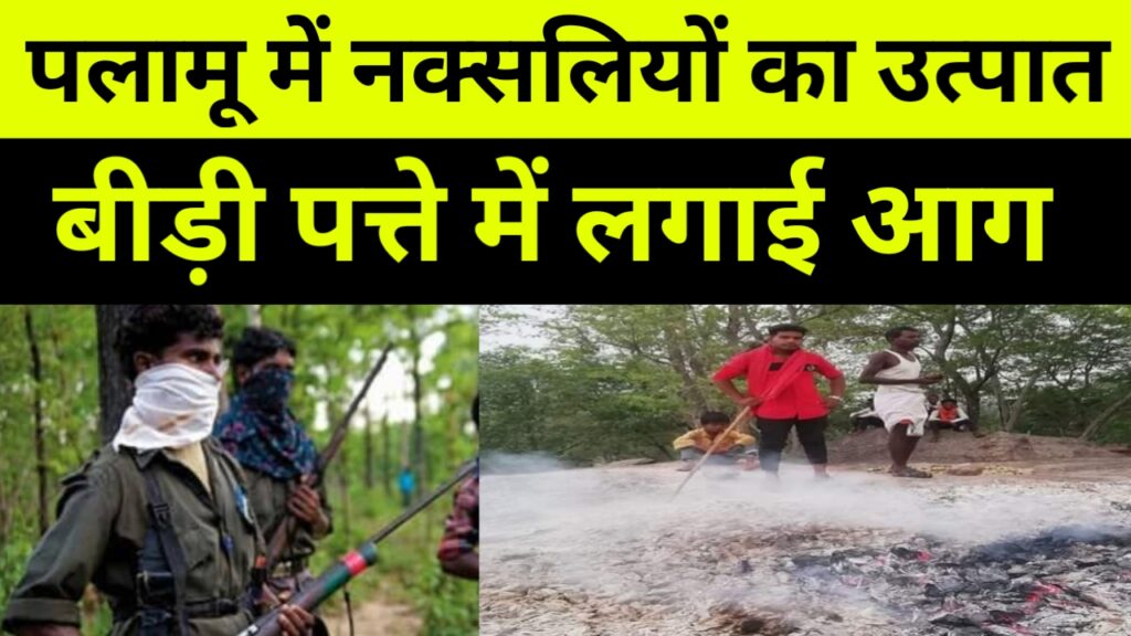 झारखंड में नक्सलियों का उत्पात, बीड़ी पत्ते में लगाई आग, पर्चा छोड़कर दी चेतावनी।