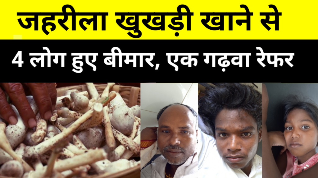 Garhwa Drishti News: जहरीला खुखड़ी खाने से 4 लोग हुए बीमार, एक गढ़वा रेफर