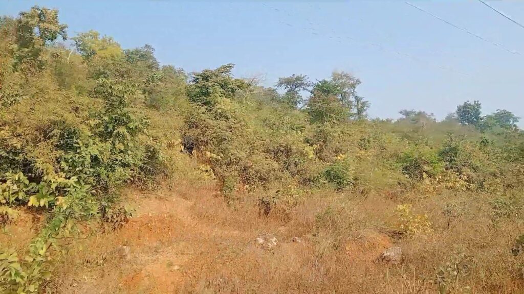 वन प्रमंडल पदाधिकारी ने नये वर्ष के अवसर पर लोगो को पिकनिक मनाने के लिए जंगल में नही जानें की अपील।