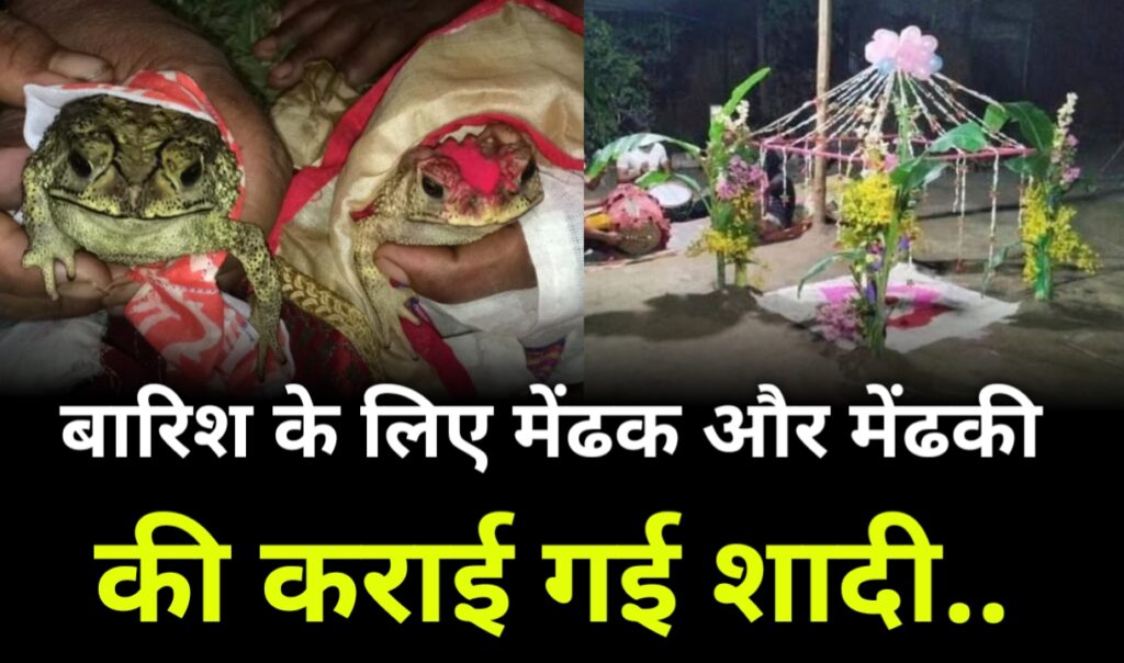 बारिश के लिए मेंढक और मेंढकी की कराई गई शादी..