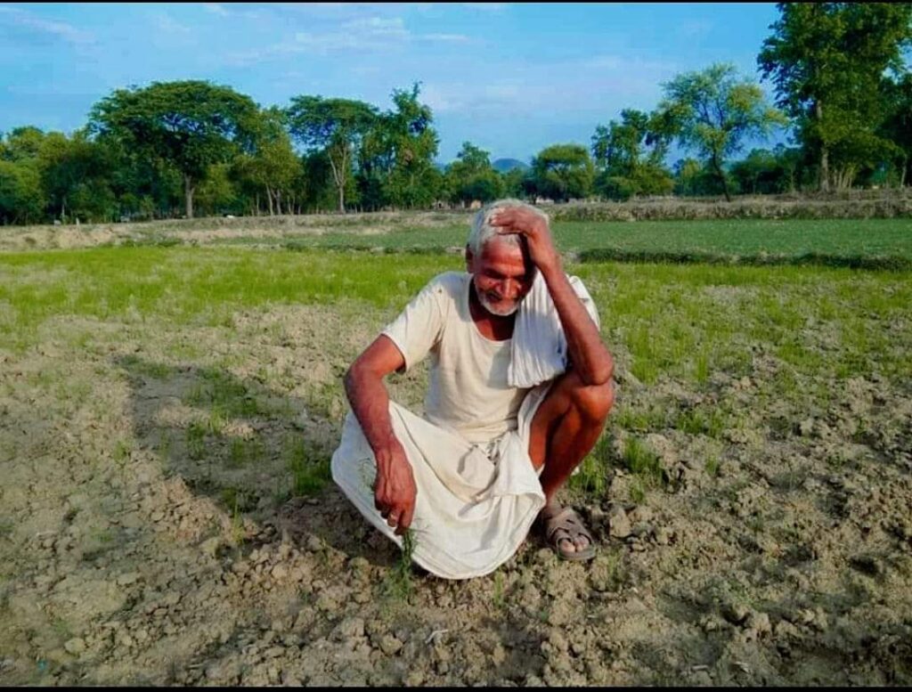 खेतों को सूखा देख किसानों के आंखों में पानी, अन्नदाता परेशान!