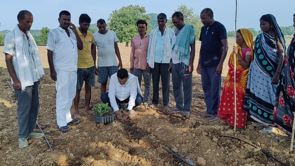अमरुद उत्पादन कर नये कृतिमान स्थापित कर रहे हैं हरिहरगंज के किसान – कर्नल संजय