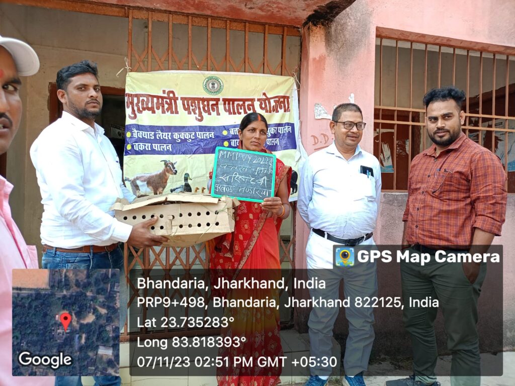 बतख पालन के लिए तीस लाभुको में चूजा का किया गया वितरण!