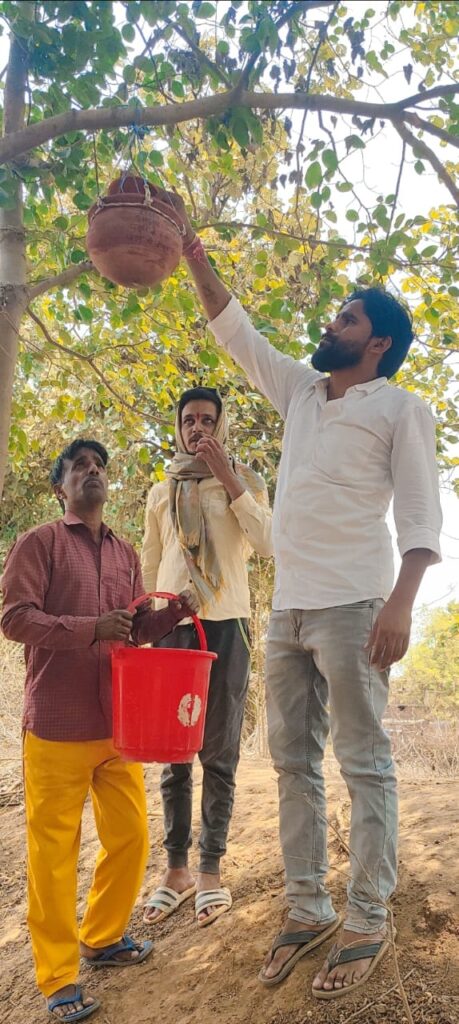 भीषण गर्मी से इंसान सहित पक्षियों पर भी आफ़त