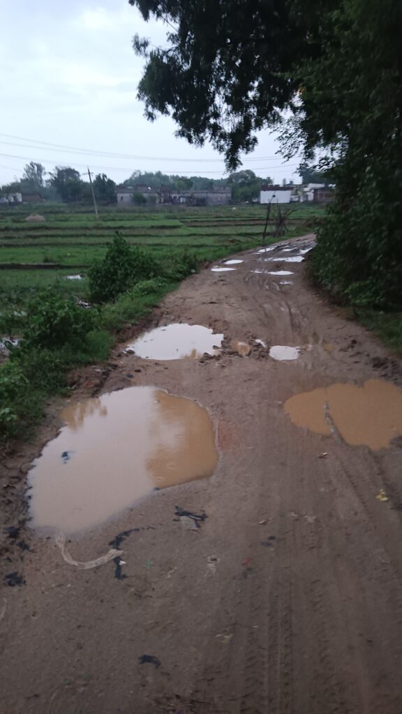 पलामू के कुशहा गांव में बदहाल सड़कें बनीं ग्रामीणों की मुसीबत, जनप्रतिनिधियों की चुप्पी पर उठे सवाल