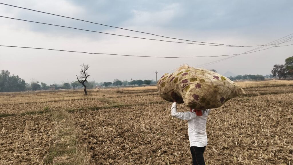 6 फीट पर लटक रहा 11000 वोल्ट का तार, रोहिला गांव में बड़े हादसे की आशंका